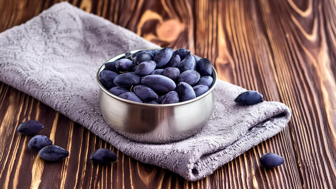 Harnessing Nature’s Power: The Journey of haskalife™ and the Remarkable Haskap Berry