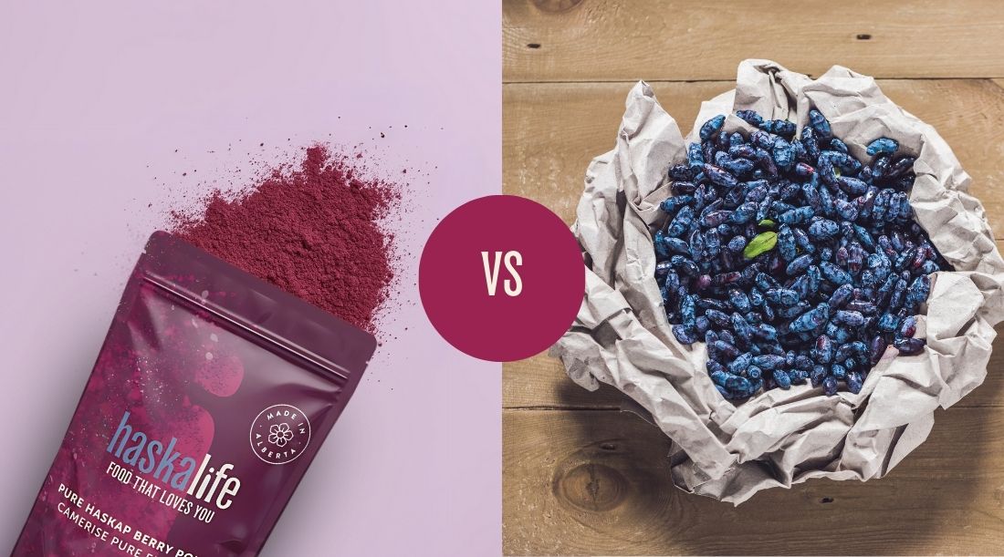 Haskap Berry Powder vs. Fresh Berries: Which One is Right for You?