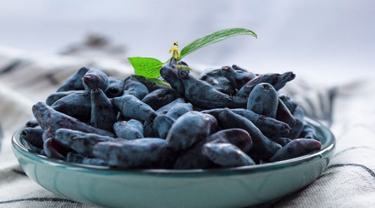 The Rise of Haskap in Alberta: Why Canadians are Loving this Superfruit