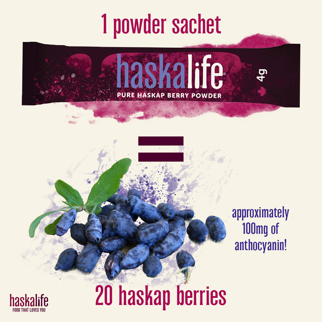PURE HASKAP BERRY POWDER TRAVEL PACKS