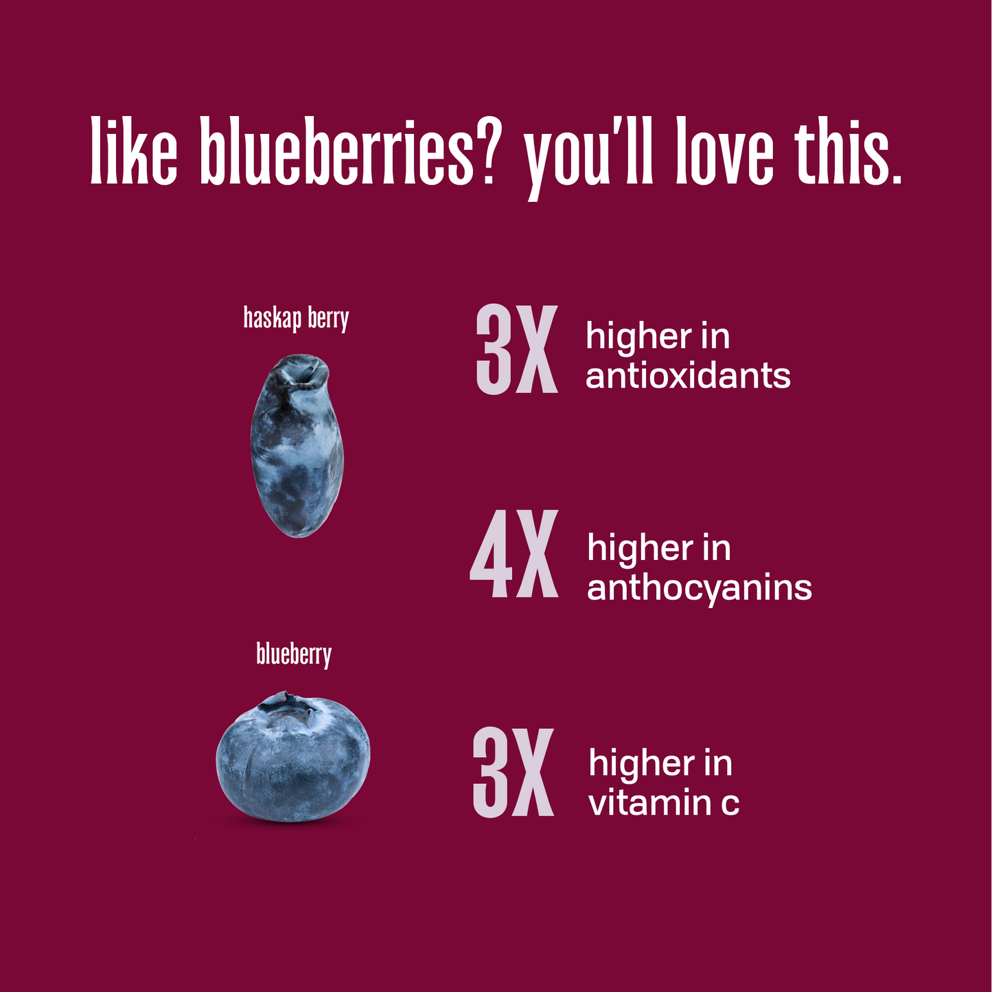 PURE HASKAP BERRY POWDER POUCH