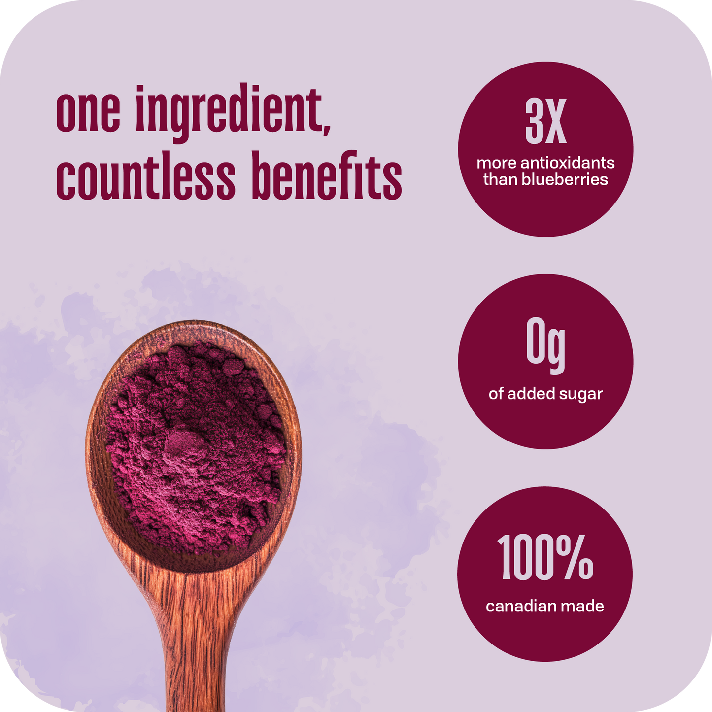 PURE HASKAP BERRY POWDER POUCH