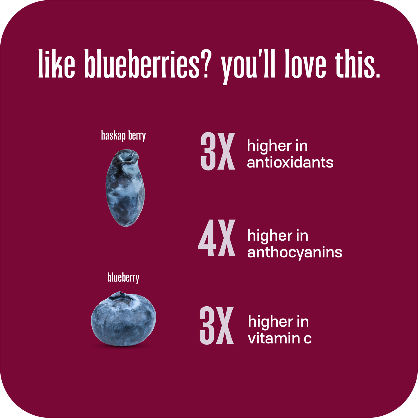PURE HASKAP BERRY POWDER POUCH