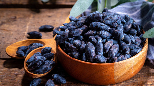 Haskap Berries: A Potential Anti-Cancer Superfood