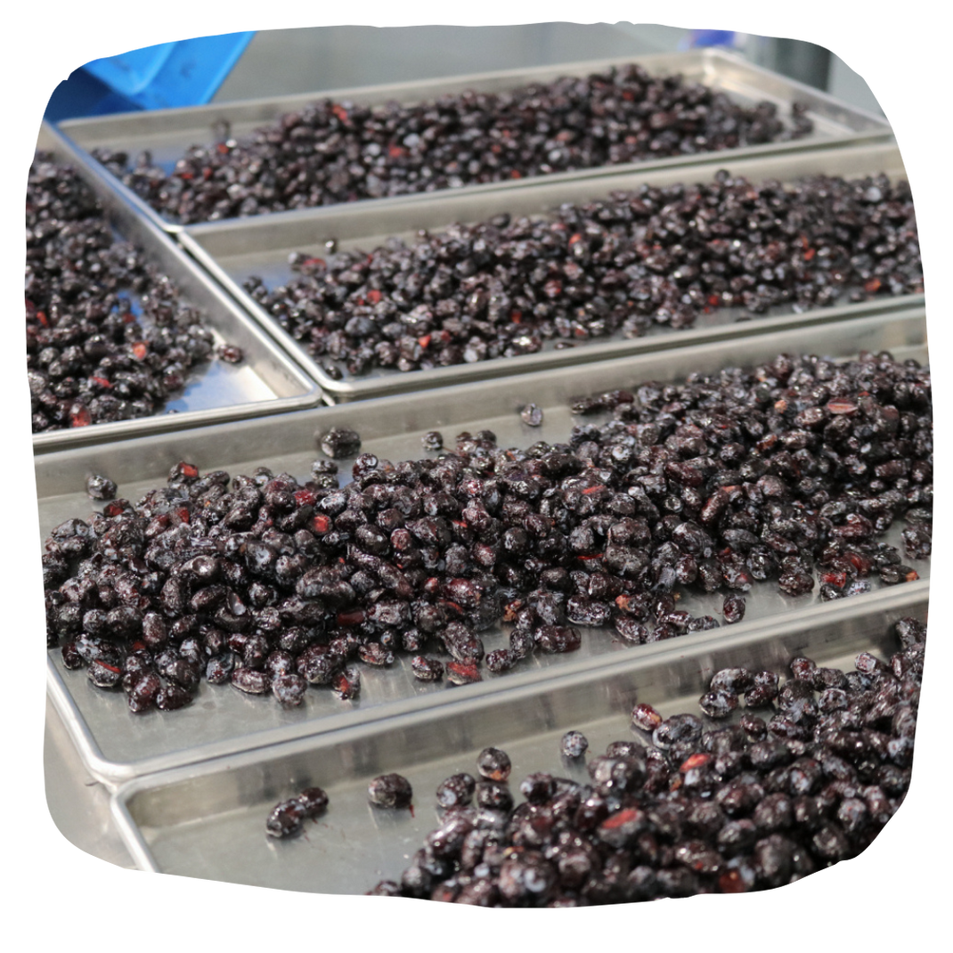 Making Our SingleServe Haskap Berry Products Haskalife Haskalife™